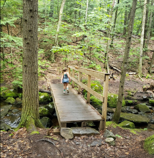 A child walks across a wooden bridge in a lush, green forest with a stream below.