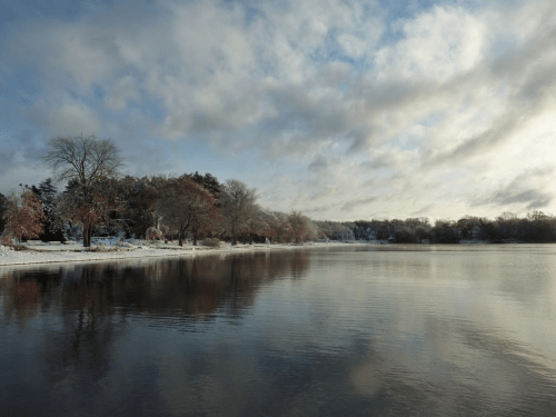A serene winter landscape featuring a calm lake, frosty trees, and a cloudy sky reflecting on the water's surface.