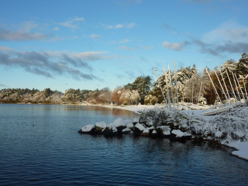 A serene winter landscape featuring a snowy shoreline, calm water, and trees under a clear blue sky.