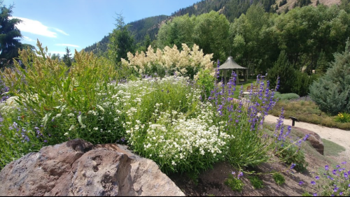 A vibrant garden with white and purple flowers, lush greenery, and a gazebo in the background against a mountain backdrop.