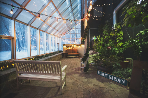 A cozy indoor garden with string lights, benches, and plants, surrounded by snow-covered scenery outside.