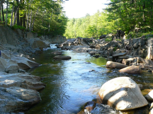 A serene river flows through rocky terrain, surrounded by lush green trees under a clear blue sky.