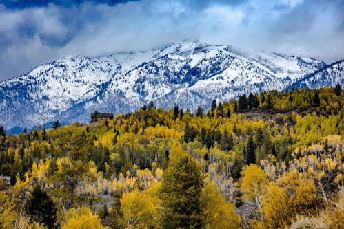 Snow-capped mountains rise above a forest of vibrant autumn foliage under a cloudy sky.
