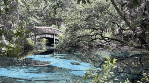 A serene landscape featuring a wooden bridge over a calm, reflective body of water surrounded by lush greenery.