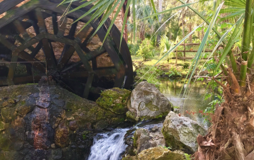 A water wheel beside a small stream, surrounded by lush greenery and rocks in a tranquil natural setting.