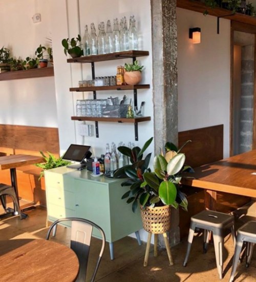 A cozy café interior featuring wooden tables, shelves with glassware, and potted plants against a bright wall.