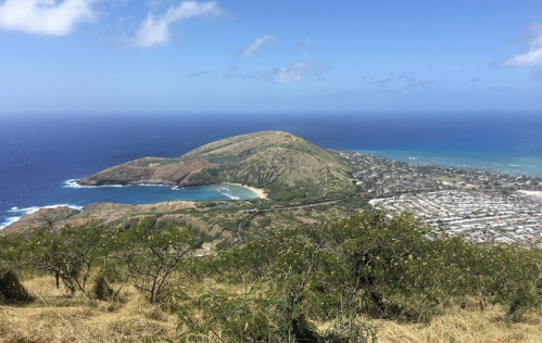 A scenic view of a coastal landscape featuring a green hill, blue ocean, and a nearby town under a clear sky.
