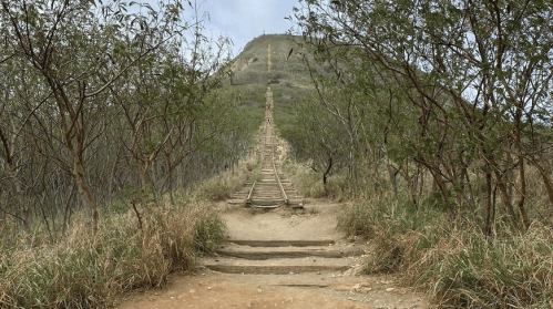 A steep, wooden staircase leads up a hill, surrounded by greenery and a cloudy sky.