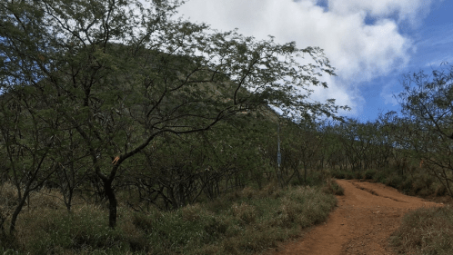 A dirt path winds through green vegetation and trees, leading towards a mountain under a partly cloudy sky.