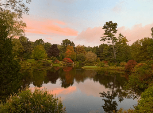 A serene pond surrounded by colorful autumn trees, reflecting a pastel sky at sunset.