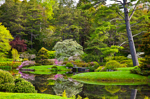 A serene garden with lush greenery, colorful flowers, and a tranquil pond reflecting the surrounding trees.