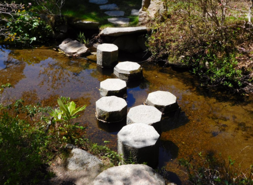 Stepping stones arranged in a stream, surrounded by greenery and rocks, creating a tranquil natural scene.