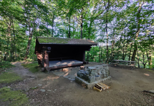 A rustic wooden shelter in a forest, with a stone fire pit and picnic table nearby, surrounded by lush greenery.