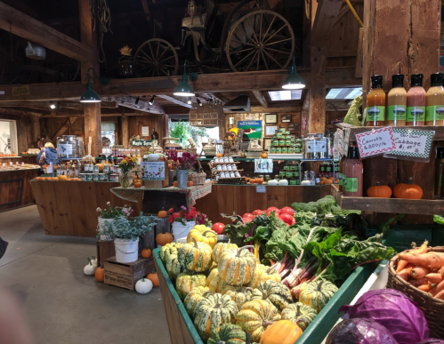 A rustic market interior filled with fresh produce, jars, and bottles, showcasing colorful vegetables and a warm atmosphere.