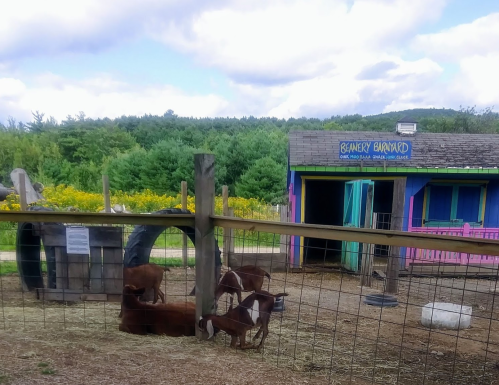 A colorful barn with goats grazing nearby, surrounded by green fields and trees under a partly cloudy sky.