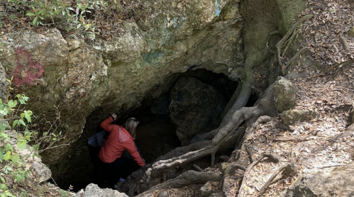 A person in a red jacket descends into a rocky cave surrounded by roots and greenery.