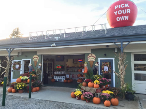 A charming farm stand with pumpkins, flowers, and a large sign reading "Pick Your Own" at Knight Farm.