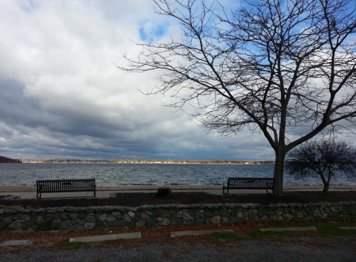 A serene lakeside view with benches, a bare tree, and cloudy skies reflecting on the water.