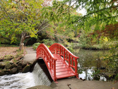A red wooden bridge arches over a small waterfall, surrounded by colorful autumn foliage and a tranquil pond.