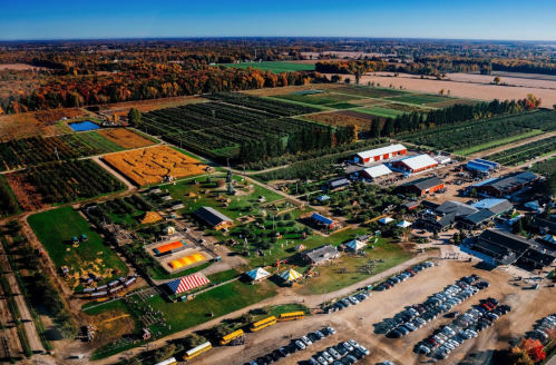 Aerial view of a vibrant farm with orchards, play areas, and colorful tents surrounded by autumn foliage.