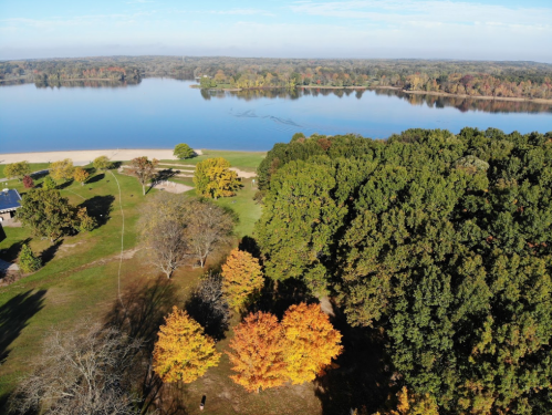 Aerial view of a serene lake surrounded by colorful autumn trees and a sandy beach under a clear blue sky.