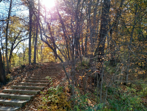 A sunlit path of stone steps leads through a forest with autumn leaves and trees.