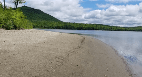 A sandy shoreline curves along a calm lake, surrounded by lush green trees and a distant mountain under a cloudy sky.