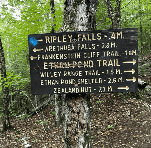 Trail sign on a tree indicating distances to various hiking destinations in a forested area.