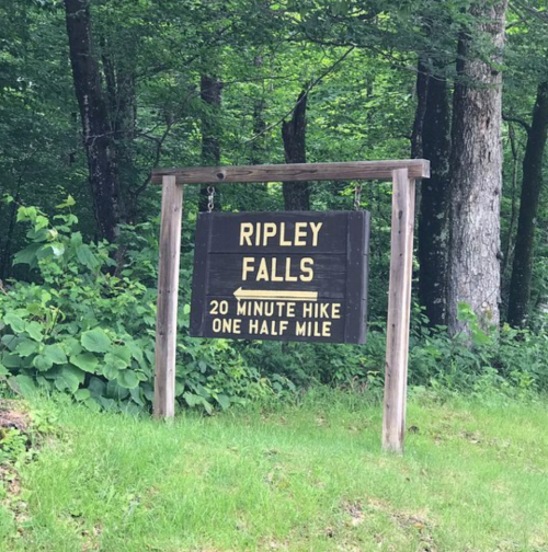 Sign for Ripley Falls, indicating a 20-minute hike over a half mile, surrounded by greenery.