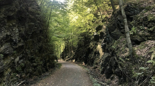 A serene forest path surrounded by tall, rocky cliffs and lush green trees. Sunlight filters through the leaves.