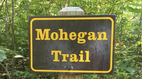 Sign for Mohegan Trail surrounded by green foliage.