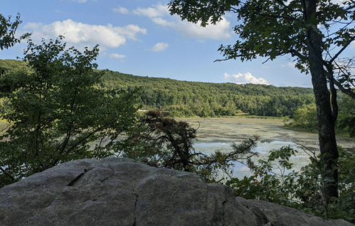 A serene view of a lake surrounded by lush greenery and hills under a clear blue sky.