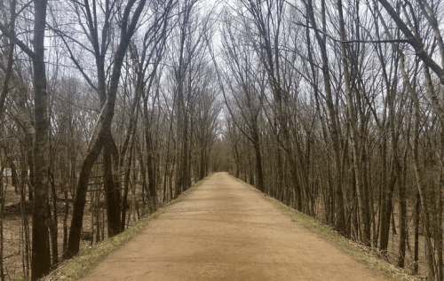 A dirt path stretches through a tree-lined area, with bare branches overhead and a cloudy sky in the background.