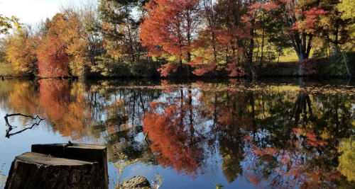 Vibrant autumn trees with red and orange leaves reflect in a calm lake, surrounded by a serene landscape.