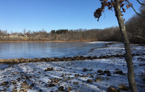 A serene lakeside scene with rocky shorelines, trees, and a clear blue sky on a winter day.