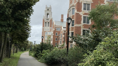 A pathway lined with greenery, leading to a tall brick building with a clock tower under a cloudy sky.