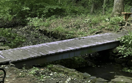 A wooden bridge with a purple hue spans a small stream in a lush, green forested area.