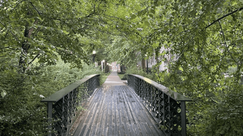 A wooden bridge surrounded by lush greenery, leading through a peaceful, tree-lined pathway.