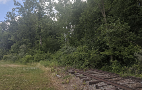 Abandoned railway tracks beside a dense green forest under a partly cloudy sky.