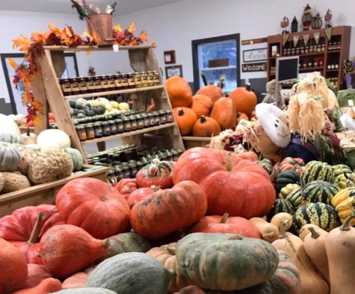 A variety of colorful pumpkins and gourds displayed on wooden shelves in a cozy market setting.