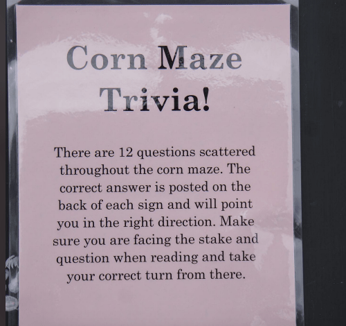 Sign for a corn maze trivia game, explaining how to find and answer questions throughout the maze.