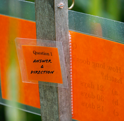A close-up of a sign with the text "Question 1" and "Answer & Direction" on an orange background.