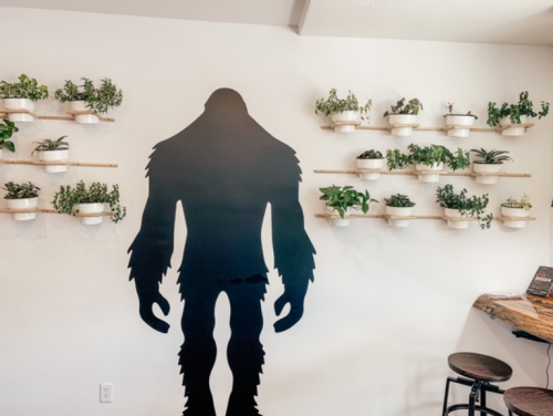 A wall featuring a large silhouette of Bigfoot and shelves with potted plants.