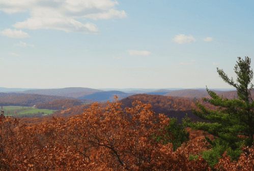 A scenic view of rolling hills covered in autumn foliage under a clear blue sky with a few clouds.