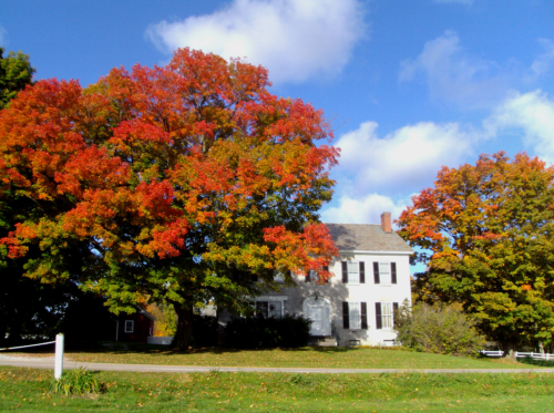 A white house surrounded by vibrant red and orange autumn trees under a blue sky with fluffy clouds.