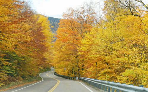 Curving road surrounded by vibrant autumn trees in shades of orange and yellow under a cloudy sky.