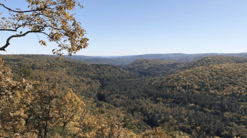 A scenic view of rolling hills covered in autumn foliage under a clear blue sky.