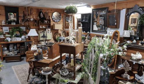 A cozy antique shop filled with vintage furniture, decor, and plants, creating a warm and inviting atmosphere.