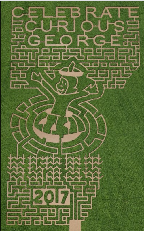 A corn maze design featuring Curious George, with the text "Celebrate Curious George 2017" above.