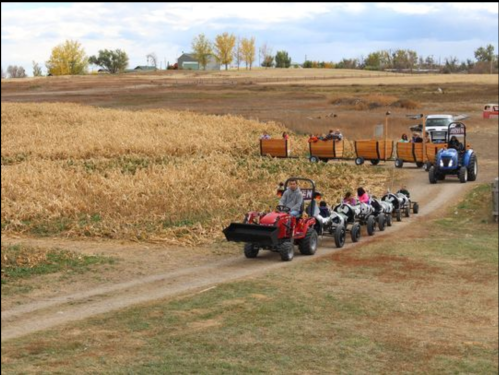 A line of go-karts on a dirt path, with a tractor and wagon in the background, surrounded by fields and trees.